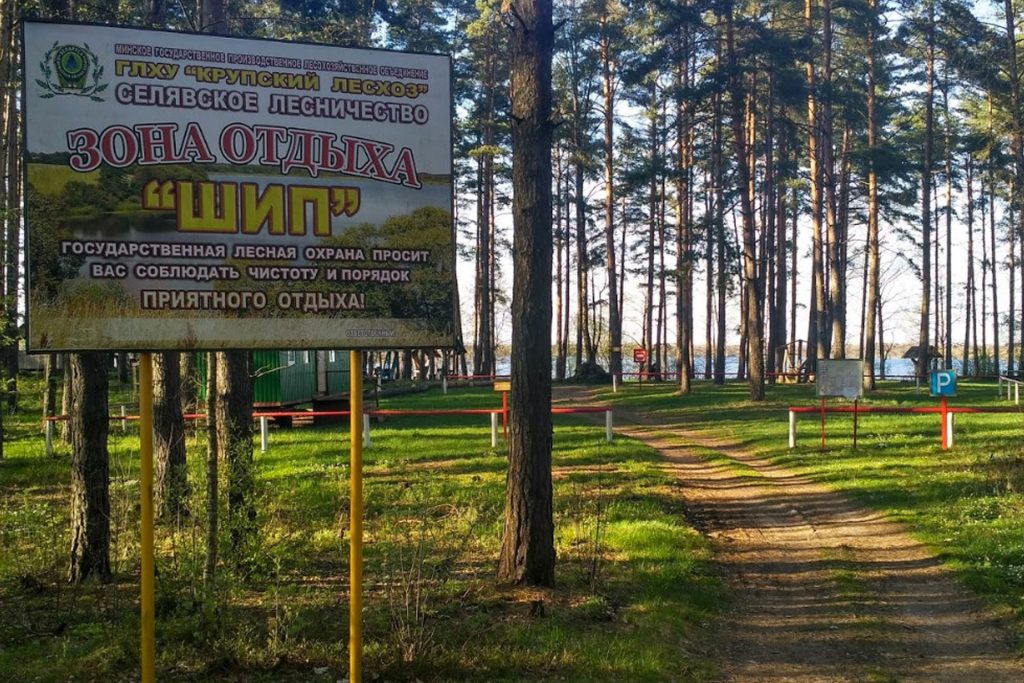Шип