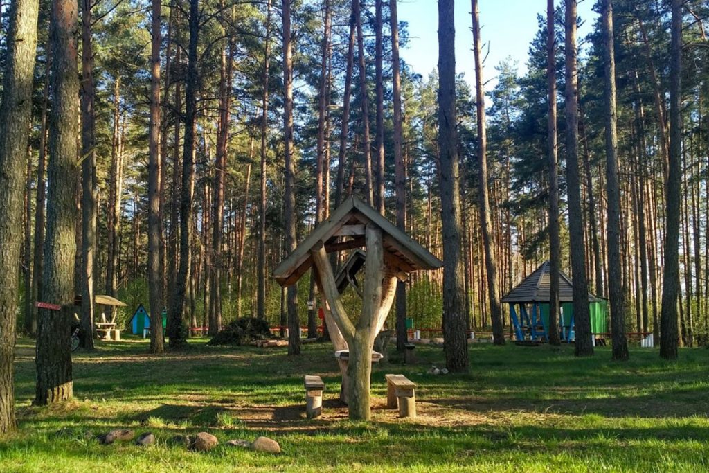 Шип